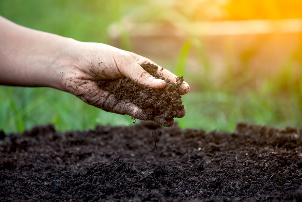 Improving-soil-health