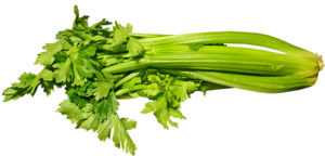 celery