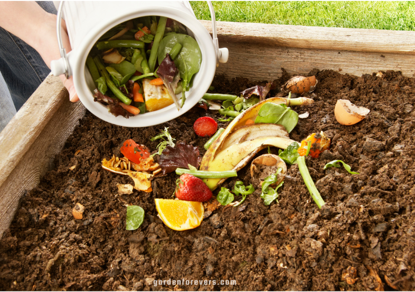 How to prepare organic fertilizer from kitchen waste