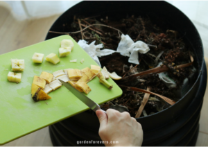 How to prepare organic fertilizer from kitchen waste