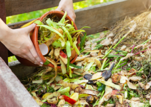 Best homemade fertilizer for indoor plants