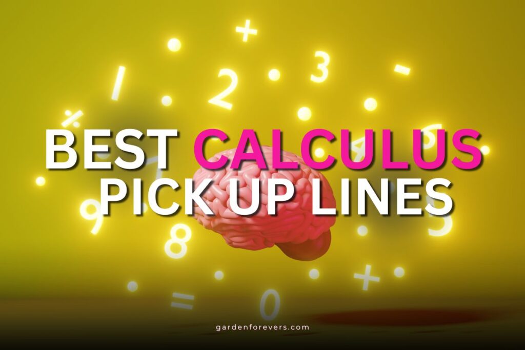 Calculus pick up lines