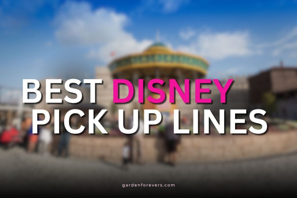 Disney Pick Up Lines