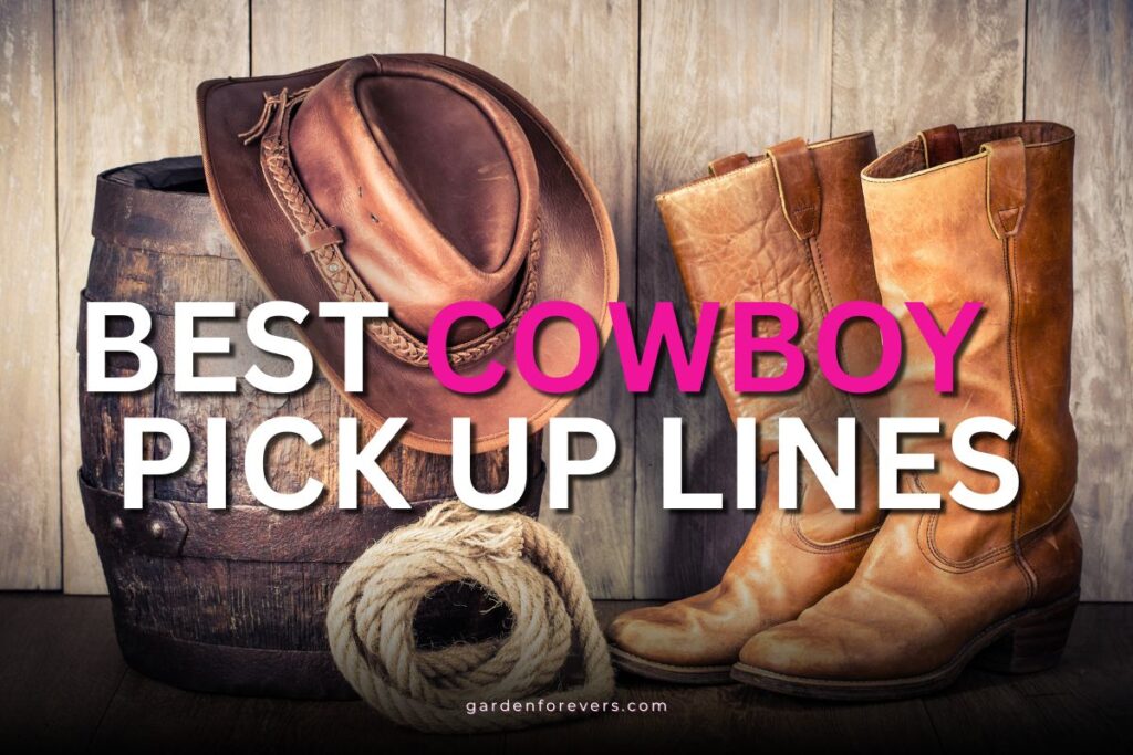 Cowboy pick up lines