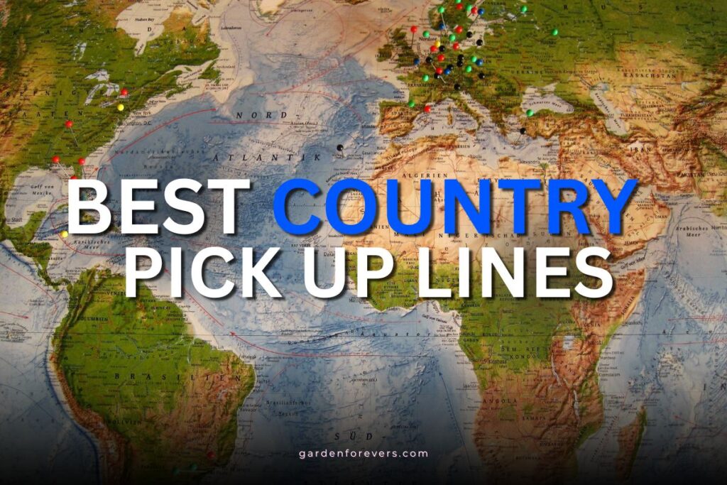 country pick up lines