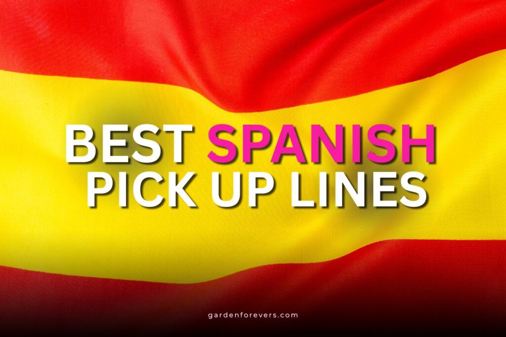 spanish pick up lines