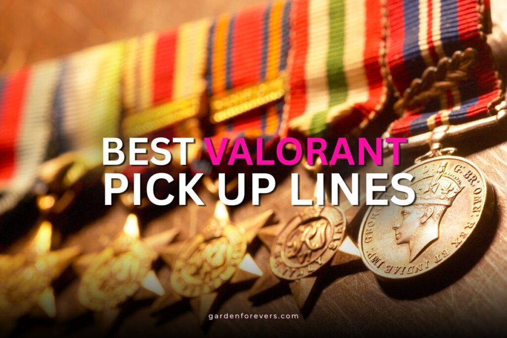 valorant pick up lines