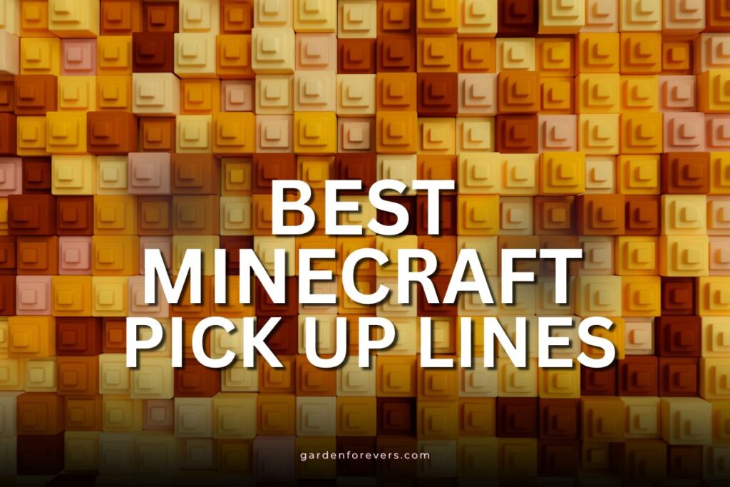 Minecraft pick up lines