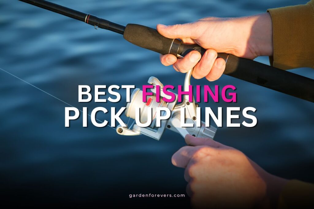 fishing pick up lines