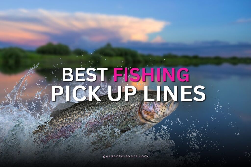 fishing pick up lines
