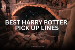 harry potter pick up lines