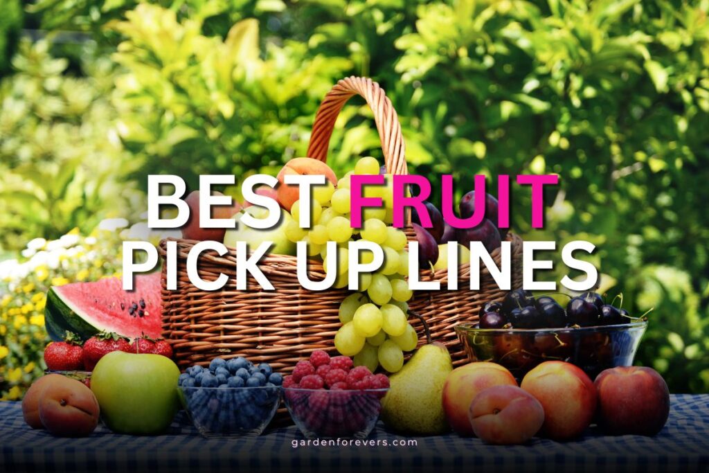 fruit pick up lines
