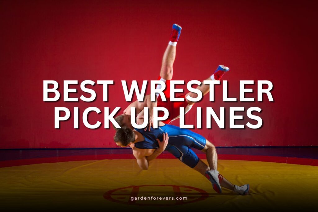 Wrestler pick up lines