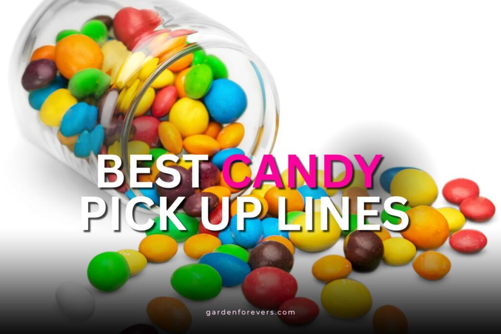 candy pick up lines