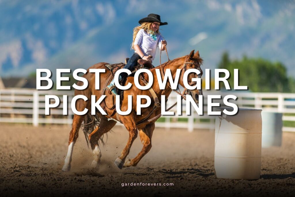 cowgirl pick up lines