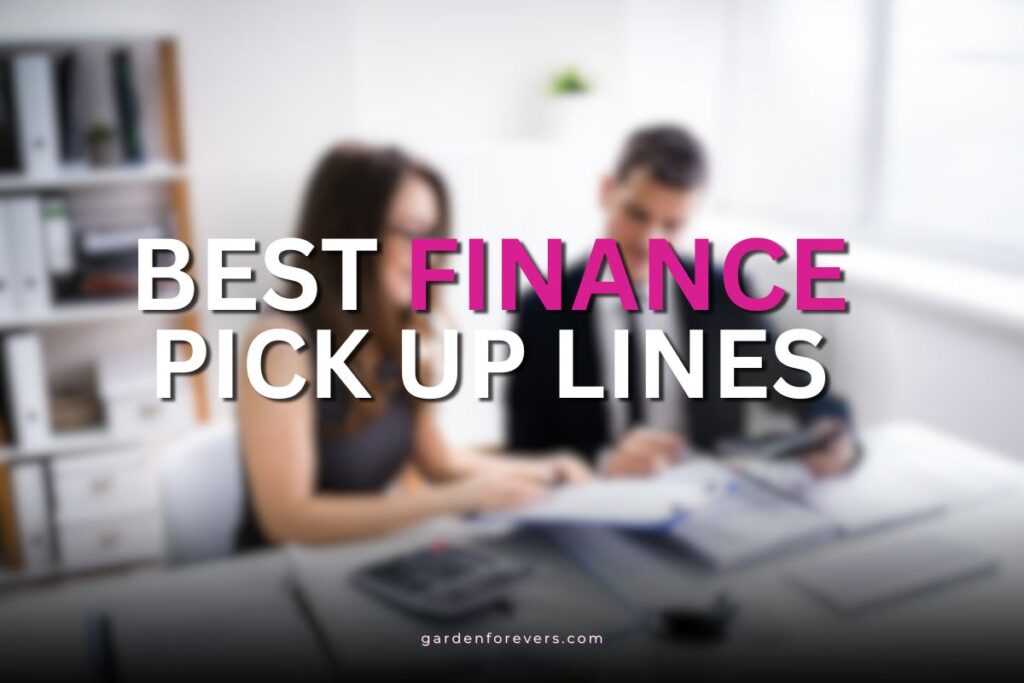 finance pick up lines
