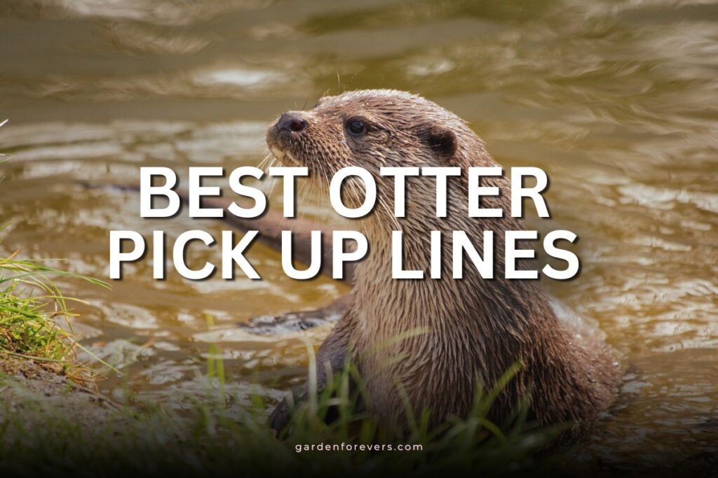 otter pick up lines